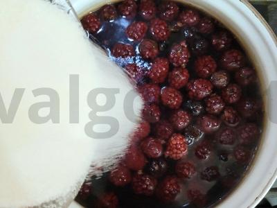 Aromatingas gervuogių ir juodųjų serbentų kompotas su cinamonu Žingsnis 2