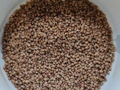 Grikių košė su rožiniu vynu Žingsnis 1