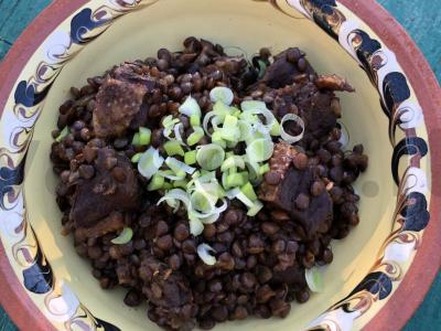 Antis, troškinta su lęšiais pagrindine nuotrauka