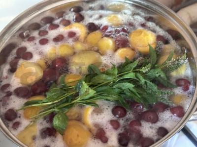 Vaisių kompotas su mėtomis ir citrina Žingsnis 5