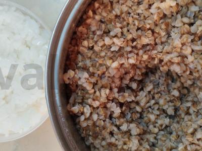 Vegetariški ryžių ir grikių ežiukai Žingsnis 5