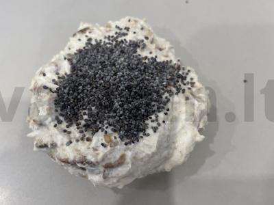 Desertas „Meduolis“ Žingsnis 6