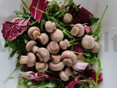 Salotas su kalakutiena, grybais ir parmezanu Žingsnis 4