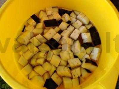 Salotas su vyšniniais pomidorais, baklažanais ir feta sūriu Žingsnis 1