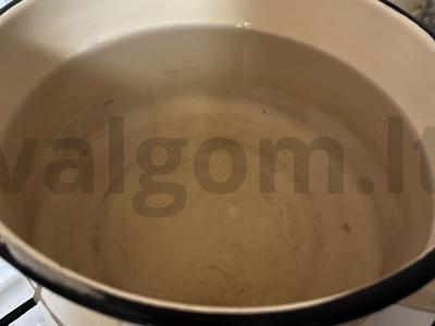 Kompotas žiemai iš obuolių ir slyvų Žingsnis 1