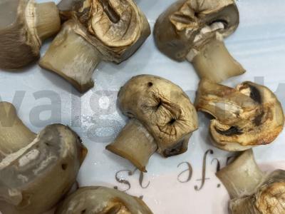 Užkandis ant iešmelių „Grybų pyragas“ Žingsnis 2