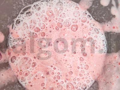 Skystas ledai „Braškė-viena“ Žingsnis 4