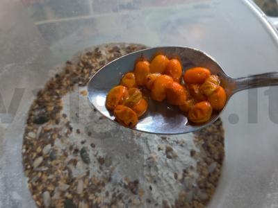 Šaltalankių duona Žingsnis 5