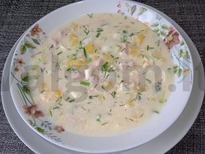 Okroška ant beržo sulčių su majonezu ir virta vištienos filė pagrindine nuotrauka