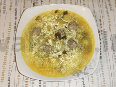 Kvapnus sriuba su meatballs ir salierų lapais pagrindine nuotrauka