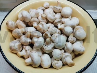 Konservuoti šampinjonai Žingsnis 1