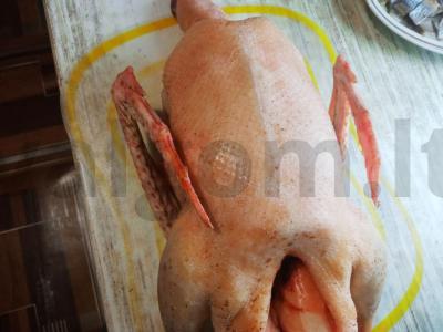 Sūdyta žąsų taukai Žingsnis 1