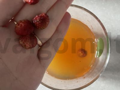 Atvėsinantis arbata „Akimirka“ Žingsnis 4