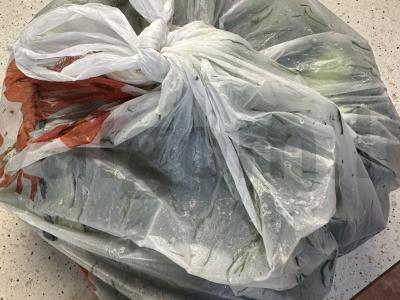 Marinuoti agurkai su jaunu česnaku Žingsnis 10