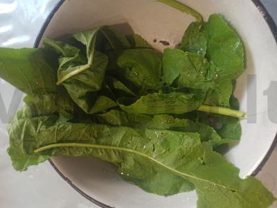 Sūdyti agurkai „Krustyčiai“ Žingsnis 2