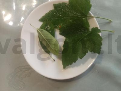 Sūdyti agurkai „Krustyčiai“ Žingsnis 3