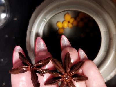 Šaltalankių gėrimas su imbieru ir anyžiumi Žingsnis 2