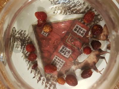 Šildantis vitaminų arbata iš šaltalankių ir erškėtuogių Žingsnis 1