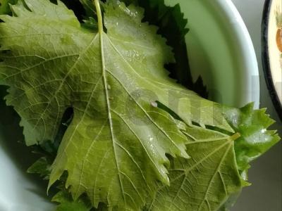 Vynuogių lapų dolma Žingsnis 1