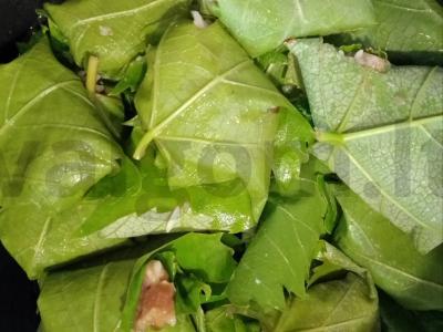 Vynuogių lapų dolma Žingsnis 5