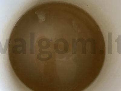 Sriuba-pyragas „Astrachano“ Žingsnis 1