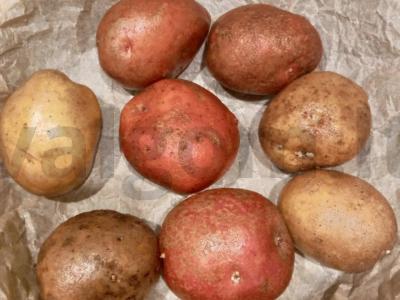 Bulvytė, įdaryta bekonu Žingsnis 1