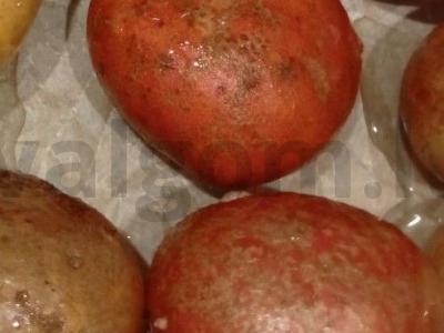 Bulvytė, įdaryta bekonu Žingsnis 3