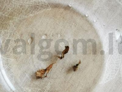 Gaivus arbata per 10 minučių Žingsnis 1