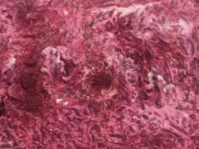 Šventinė „Šuba su upėtakiu“ pagrindine nuotrauka