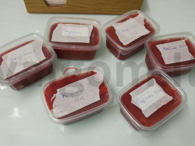 Žiemai skirta braškių desertas pagrindine nuotrauka