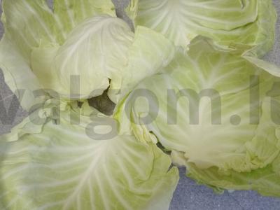 Balandėliai su jautienos faršu Žingsnis 1