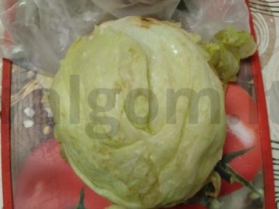 Salotas su žolelėmis ir grybais grietinėlės-česnako padaže Žingsnis 2