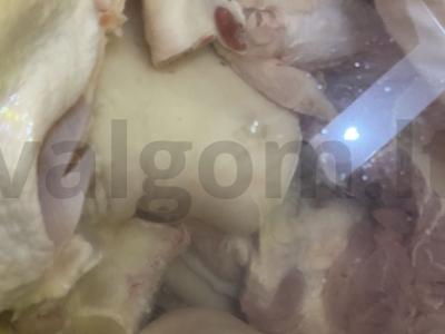 Šaltiena su kiaulės kojos, jautiena ir vištiena Žingsnis 3