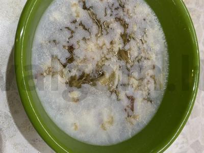 Šaltiena su kiaulės kojos, jautiena ir vištiena Žingsnis 11