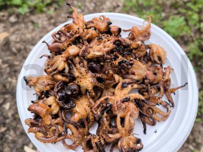 Kepti mini kalmarai ant grotelių pagrindine nuotrauka