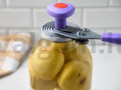 Antanovkos kompotas žiemai Žingsnis 4