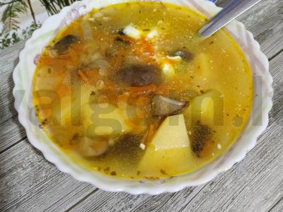 Sriuba su miško grybais pietums pagrindine nuotrauka