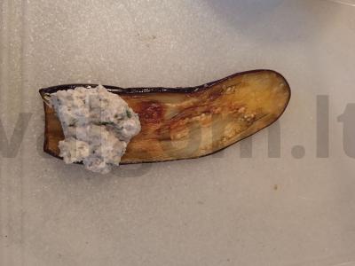 Baklažanų ritinėliai su varškės sūriu ir riešutais Žingsnis 7