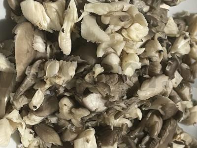 Kibinai su bulvėmis ir grybais keptuvėje Žingsnis 3