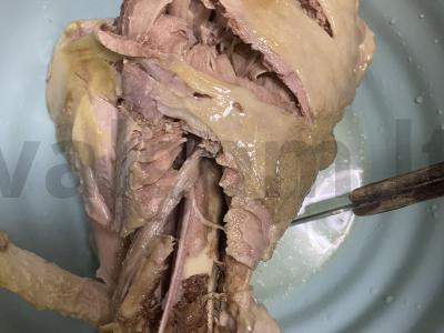 Makaronai su pievagrybiais ir kalakutiena grietinėlės padaže Žingsnis 6