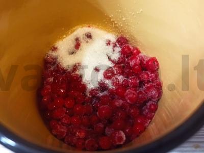 Gėrimas iš raudonųjų serbentų ir kondensuoto pieno Žingsnis 1