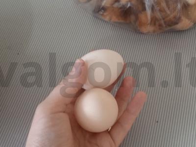 Blynai su meile Žingsnis 2