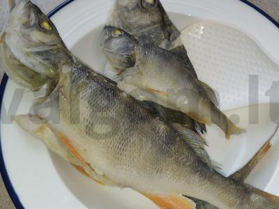 Ežerinių lydekų sriuba su bulvėmis ir morkomis Žingsnis 7