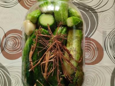 Agurkai žiemai su gvazdikėliais ir česnaku Žingsnis 3