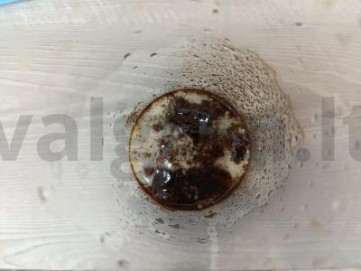 Cikorijos gėrimas su džiovintomis abrikosais Žingsnis 3