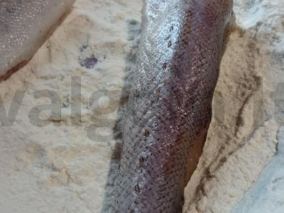 Keptas menkė su prancūziška garstyčia Žingsnis 1