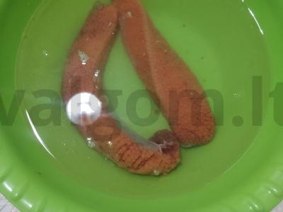 Lašišų ikrų sūdymas Žingsnis 3