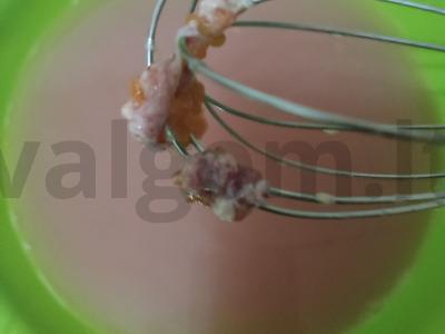 Lašišų ikrų sūdymas Žingsnis 4