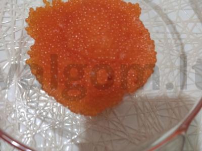 Lašišų ikrų sūdymas Žingsnis 6