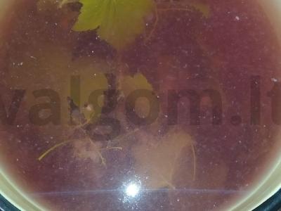 Raudonųjų serbentų kompotas su juodųjų serbentų lapais pagrindine nuotrauka